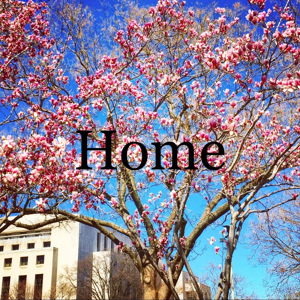 Miscellaneous home and accessories.
